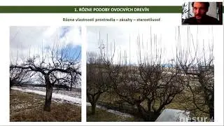[nesur.tv] Rezať či nerezať? prednáška o  starostlivosti o ovocné stromy (6.3.2021)