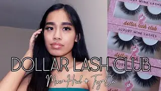 Dollar Lash Club Mini-Haul & Review (Try-On)