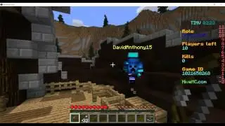 The HIVE TIMV