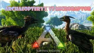 ARK Archaeopteryx vs Microraptor Fight. Which dino is stronger?