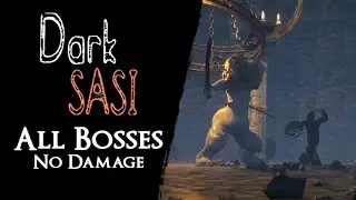 Dark SASI - All Bosses【No Damage, Sprinting, Rolling, Blocking】