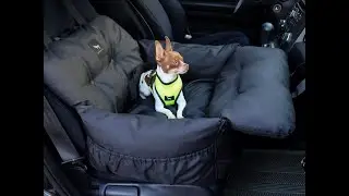 Jacko & Co - Premium Dog Car Seat (Black Edition)
