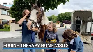 Equine therapy home visits