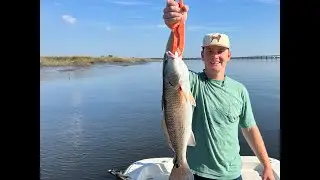 Oversized Redfish and South Georgia Trout!!