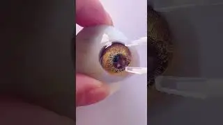 TTDEYE Colored Contact Lenses for Dark Eyes #ColoredContacts #NaturalContacts 😍Subscribe for more