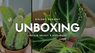 💚 ZIELONY PARAPET UNBOXING & TEST SKLEPU🪴LEPISMIUM ✨ SYNGONIUM ✨ FILODENDRON ✨ KOCIE OGONY ✨