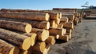 A Video walk-through a modern lumber mill