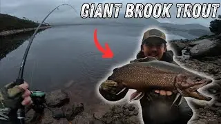 BIG BROOK TROUT GALORE!! Personal best Brook Trout on opening day!