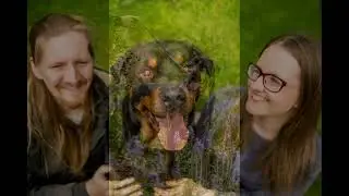 Axel|  Melbourne Pet Photography