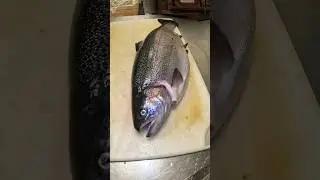 The Problem with Farming Fish&hellip; #shorts #fishing