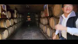 Bodega Casa Vigil