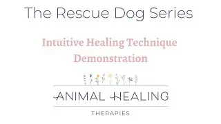The Rescue Dog Series - Intuitive Healing Demonstration