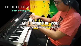 🎶 