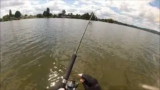 NEW ZEALAND TROUT FISHING SOME OTHER SPOT TODAY 8