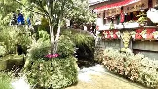 VIDEO0194