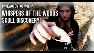 Backwoods Footage: [SlowTV] Off trail hiking and Creek Exploring