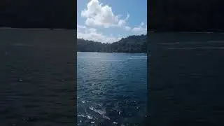 spot ronckfishing 🎣🎣🎣 #tripmancing #mancingpinggiran #shorts #shortvideo #shortfund