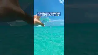 Watch this before visiting Turks & Caicos! 🏝️ #turksandcaicos #caribbeantravel #budgettravel