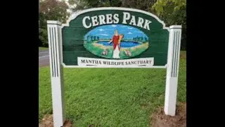 The Evolution of Ceres Park, a Gloucester County Gem