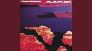 One Thousand Waves (Palms Trax & John Loveless Remix)
