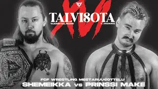 Shemeikka vs  Prinssi Make, Talvisota XVI