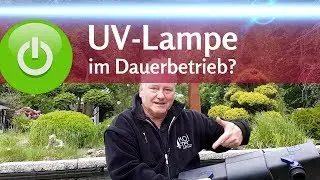 Muss die UV-Lampe immer laufen? Schwebealgen im Teich kontrolliert bek&auml;mpfen