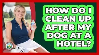 How Do I Clean Up After My Dog At A Hotel?