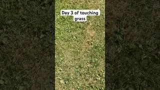 I love grass #grass #subscribe #trend #shorts