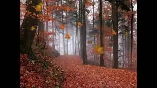 Лана Норд - Осенняя красавица. (Поэзия)