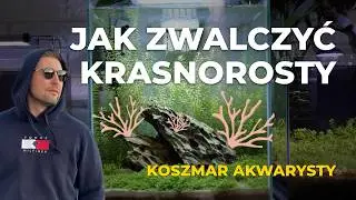 Miałem DOŚĆ tego akwarium! 😡 Oto SPRAWDZONA METODA na walkę krasnorostami - Poradnik Krok Po Kroku
