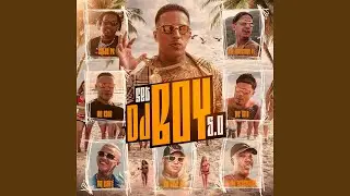Set DJ Boy 5.0 (feat. Vulgo FK, MC Vine7, MC Cebezinho, Mc Lele JP)