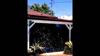 Front Flip off the Roof of My House in Arleta, CA