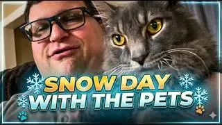 Snow Day With The Pets! - Marietta, GA