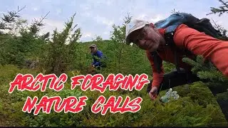 🦉Arctic Foraging🇳🇴| Nature Calls🦉