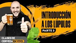 Introducci&oacute;n a LOS L&Uacute;PULOS - Parte 3