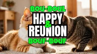 Bou-Boul And Bouf-Bouf - Another Reunion! Are You Happy To See Them?