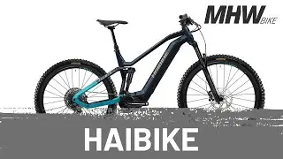 Haibike AllMtn 2 blue / cyan / caramel gloss E-Bike MTB