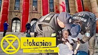 Elokapina -dokkari