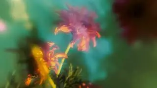 John Hayes - Slow Break (Official Visualizer)