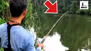 “കട്ല,രോഹു 