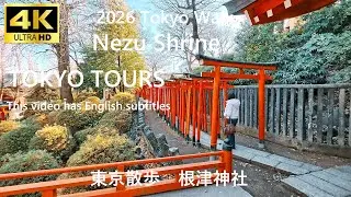 2026 Tokyo Walk Nezu Shrine 東京散歩 根津神社