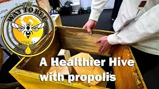 Propola Hives just may reduce mite loads learn more from Matthew Schock in this interview.