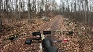 PA SGL hunt in January 2023