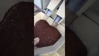 GCS Grain Cleaner Clover