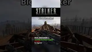 Bloodsucker vs HOLEMAKER-L Stalker2 12X70MM BUCKSHOT Regular VETERAN No Upgrade Stalker2 #stalker2