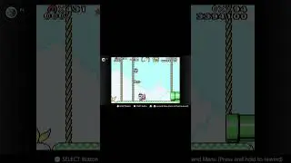 Special Zone Gnarly 1Up Trick - Super Mario World: Super Mario Advance 2