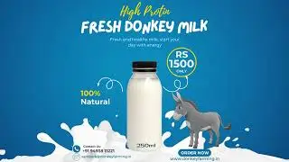 Donkey Milk
