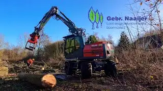 Bomen Rooien - Gebr. Naaijer Winschoten