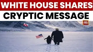 Donald Trump Trolled Over AI Penguin Meme Amid Renewed Push To Acquire Greenland | US NEW