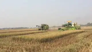 Bhoomi Agro